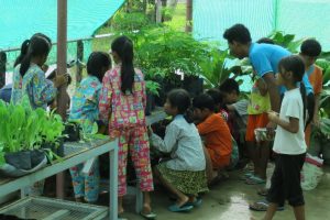Promotion of School based Nutrition Gardens For healthy living and learning