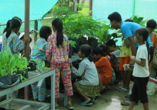 Promotion of School based Nutrition Gardens For healthy living and learning
