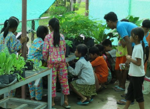 Promotion of School based Nutrition Gardens For healthy living and learning