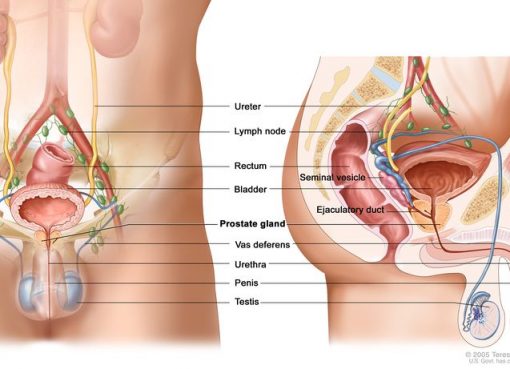 Increasing Risk of Prostate Cancer in India