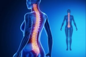 Covid-19 and Spinal Cord Injury: Staying well is the slogan of Spinal Cord Injury Day 2020