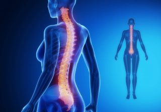 Covid-19 and Spinal Cord Injury: Staying well is the slogan of Spinal Cord Injury Day 2020