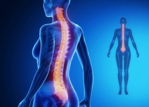 Covid-19 and Spinal Cord Injury: Staying well is the slogan of Spinal Cord Injury Day 2020