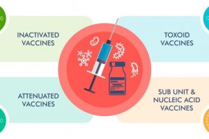 Understanding Vaccine Effectiveness