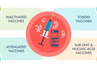 Understanding Vaccine Effectiveness
