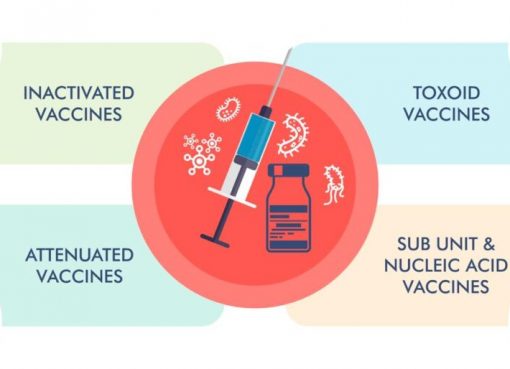 Understanding Vaccine Effectiveness