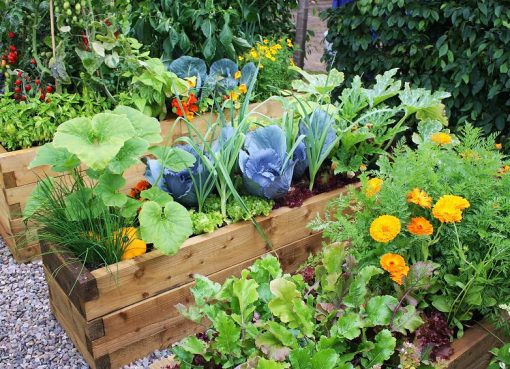 Poshan ke liye Poudhe (Kitchen Gardens, Not only for Healthy Life Style but also for Healthy Nutrition)