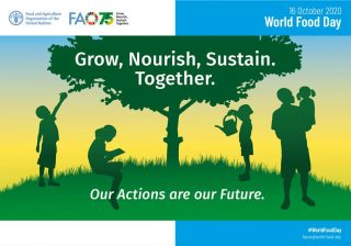 World Food Day 2020 : Grow, Nourish, Sustain Together