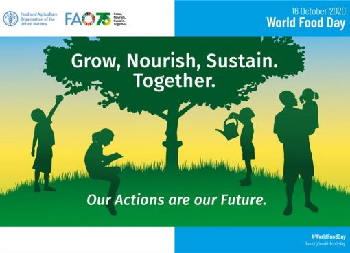 World Food Day 2020 : Grow, Nourish, Sustain Together