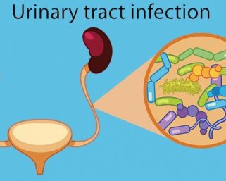 Urinary Tract Infections (UTIs) –  Women are more Vulnerable