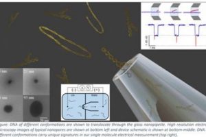 Novel technique may help in early detection of Cancer, Alzheimer’s, and Parkinson’s