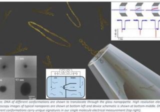 Novel technique may help in early detection of Cancer, Alzheimer’s, and Parkinson’s