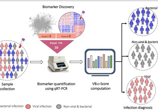 New biomarker to distinguish between bacterial and viral infections