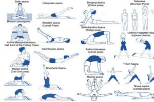 Study Explored Benefits of Yoga in Chronic Low Back Pain