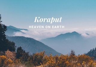 Koraput’s Wild Crops Possess Immense Potential for Nutritional Security & Health Benefits
