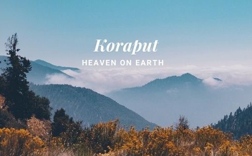 Koraput’s Wild Crops Possess Immense Potential for Nutritional Security & Health Benefits