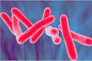 A new boost to anti-TB crusade
