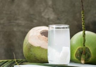 The tender power of young coconut