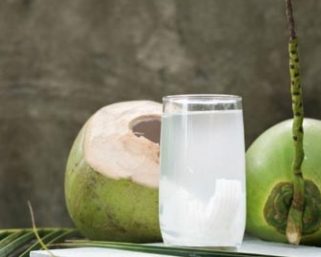 The tender power of young coconut