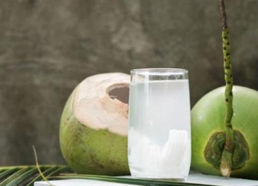 The tender power of young coconut