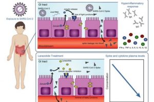 Researchers uncover mechanisms related to Multisystem Inflammatory Syndrome in children